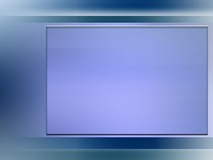 公司治理工具横向对比测试
